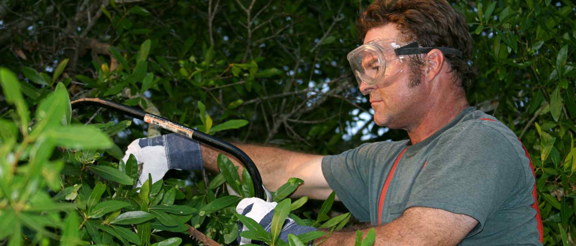 garden clearance W3